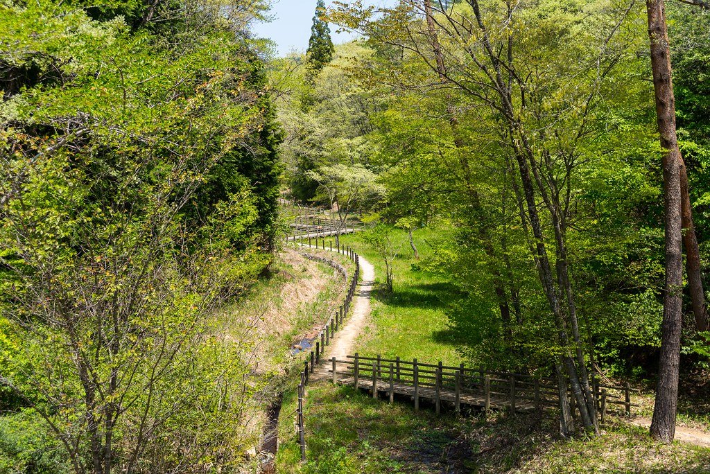 🏞️ 코이가쿠보 습원 이미지 8